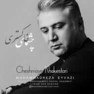 دانلود آهنگ محمدرضا عیوضی – چشمای خاکستری