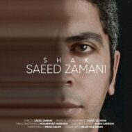 دانلود آهنگ سعید زمانی – شک