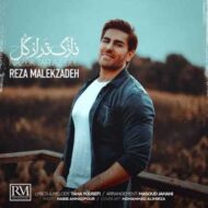 دانلود آهنگ رضا ملک زاده – نازک تر از گل
