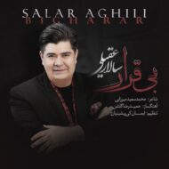 دانلود آهنگ سالار عقیلی – بی قرار