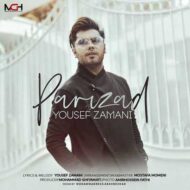دانلود آهنگ یوسف زمانی – پریزاد