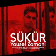 دانلود آهنگ یوسف زمانی – Sukur