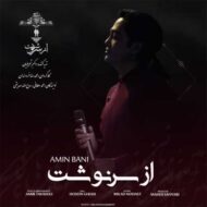 دانلود آهنگ از سرنوشت امین بانی