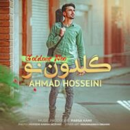 دانلود آهنگ گلدون نو احمد حسینی
