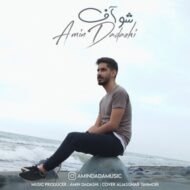 دانلود آهنگ شو آف امین داداشی