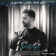 دانلود آهنگ دلتنگی عطا شهریار