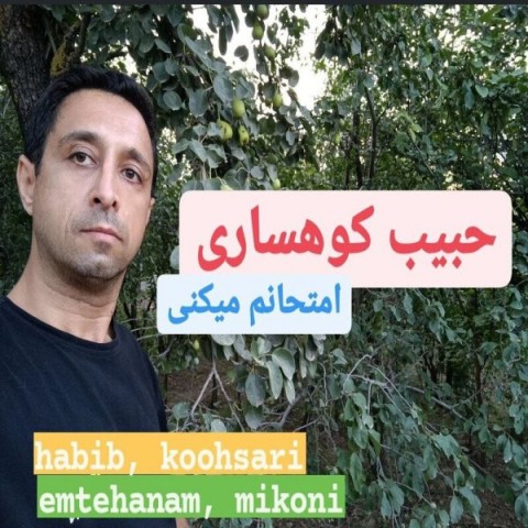 دانلود آهنگ امتحانم میکنی حبیب کوهساری