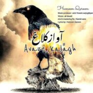 دانلود آهنگ آواز کلاغ هامون قارون