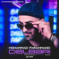 دانلود آهنگ دلبری محمد فرهمند