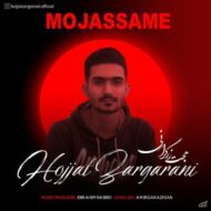 دانلود آهنگ مجسمه حجت زرگرانی