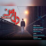 دانلود آهنگ دل من محمود شاکر