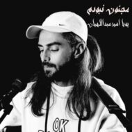 دانلود آهنگ مجنون نبودم پویا امیرعبداللهیان