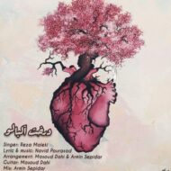 دانلود آهنگ درخت آلبالو رضا ملکی