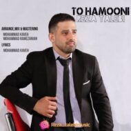 دانلود آهنگ تو همونی رضا طالبی