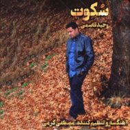دانلود آهنگ سکوت وحید قاسمی