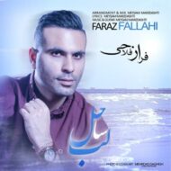 دانلود آهنگ لب ساحل فراز فلاحی