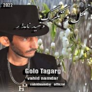 دانلود آهنگ گل و تگرگ وحید نامدار
