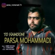 دانلود آهنگ تو همونی پارسا محمدی