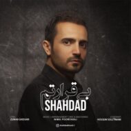 دانلود آهنگ بی قرارتم شهداد