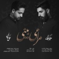 دانلود آهنگ مرا می‌بینی علی سالمی