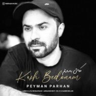 دانلود آهنگ کاش بدونم پیمان پرهان