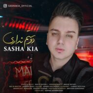 دانلود آهنگ دوستم نداری ساشا کیا