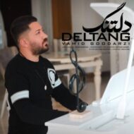 دانلود آهنگ دلتنگ وحید گودرزی