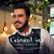 دانلود آهنگ گوزوم اوسته وحید ربیع پور