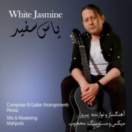 دانلود آهنگ یاس سفید پیروز