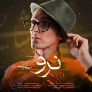 دانلود آهنگ نرو مرتضی پاشایی