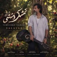 دانلود آهنگ تمشک وحشی والایار